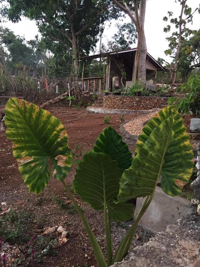 Maya Rustic Hotel Uluwatu  Bagian luar foto